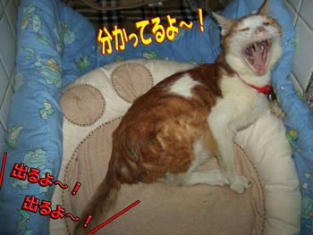 お願いね♪