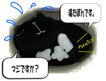 (￣Д￣；；