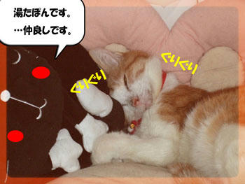 仲良しこよし！