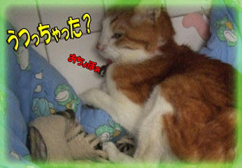 ﾌﾞﾝ(￣ﾛ￣=￣ﾛ￣)ﾌﾞﾝ