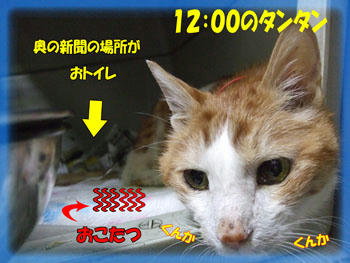 待ってる。。。