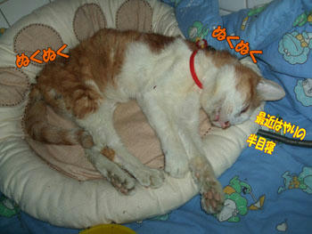 暖かね!