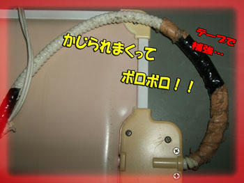 ペットヒーター
