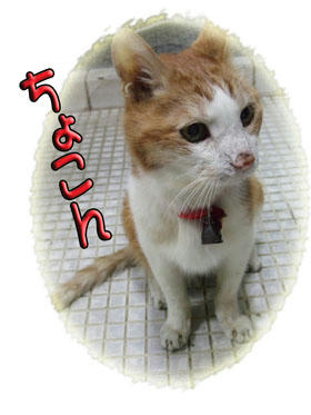 どうしたの？