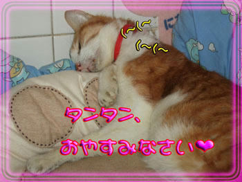 いい夢見てね。