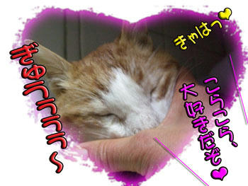 大好き❤大好き❤