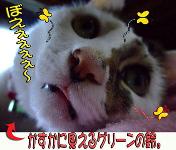やる気が無い!