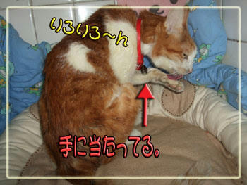 お掃除中。