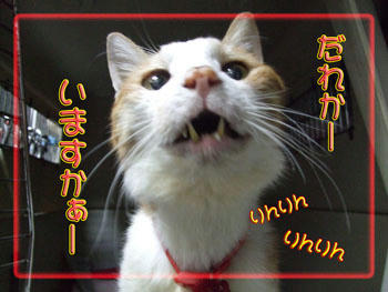 呼ばれる!