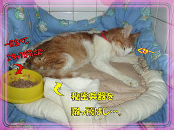 必要な事