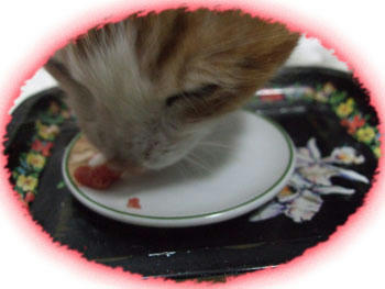 うまひぃ～！