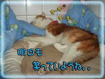 何が不安なの？