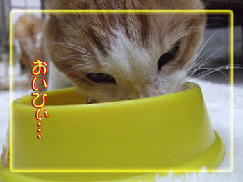 美味しい？