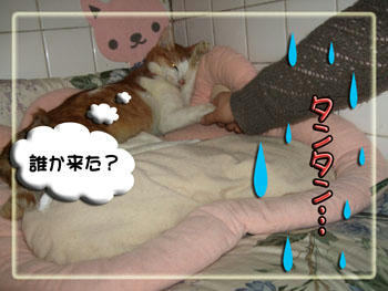 泣いてはいけない！