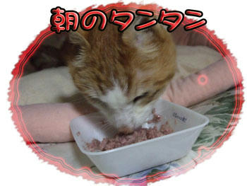美味しいよね!