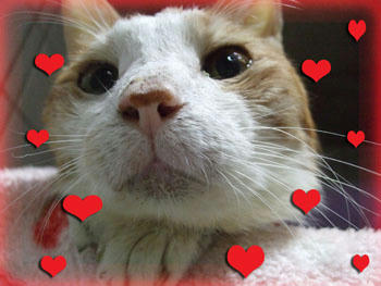 大好きだよ❤