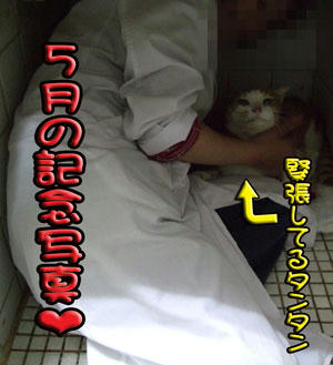 二人の記念写真。