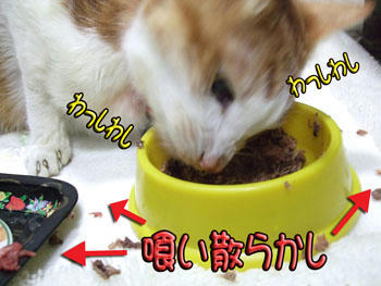 頑張って食べよう！