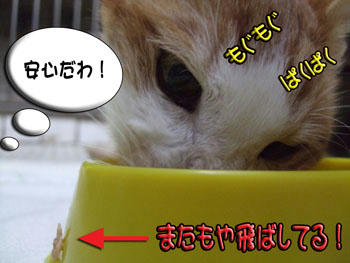 大丈夫だね。