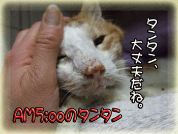 また、すぐ来るよ。