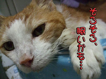 目がとろ～んとしてるよ。