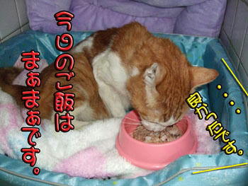 ありがとうございますっ！