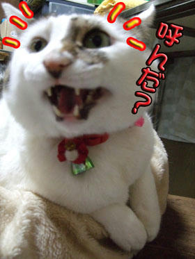 只今 ＼(￣^￣)／ 参上!!