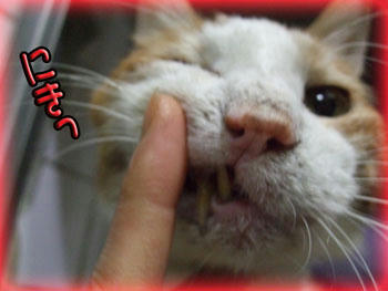 (*'ー'*)ふふっ♪