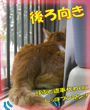 見とれる…。　(*´ｪ`*)ﾎﾟｯ