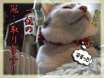 後は任せた☆。。。。(￣ー￣)λ（￣◇￣；）　え？マジ？