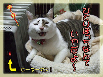 寂しい「カテゴリー」p(´⌒｀｡q)ｸﾞｽﾝ