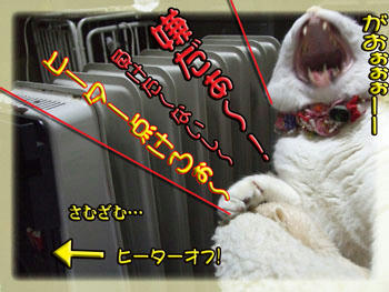負けず嫌い？