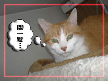 相変わらず素早い！