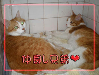 いつも一緒❤