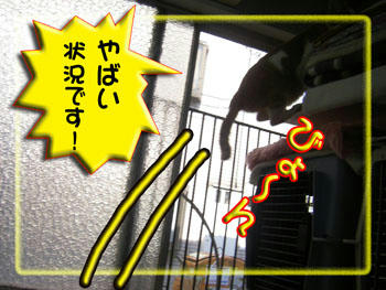 おっ！逃げたね…