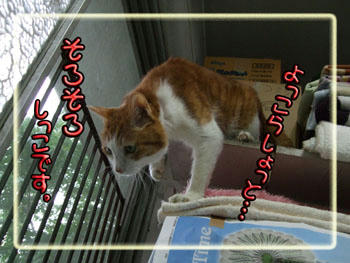 おっ、しっこだね。