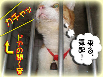 お待たせ…と思っても。。