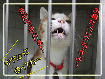 もう終わりますよー！