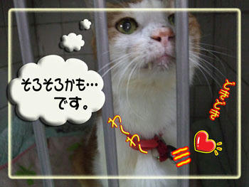 時間には正確です。