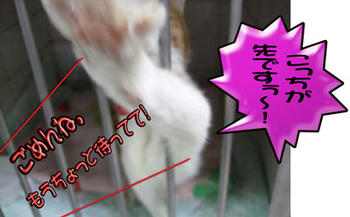 もうちょっとだけ…