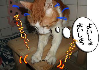 プププッ (*^m^)o==3