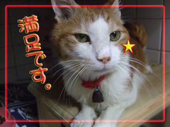d(⌒ー⌒) グッ!!