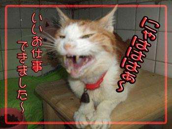 良かったね。。