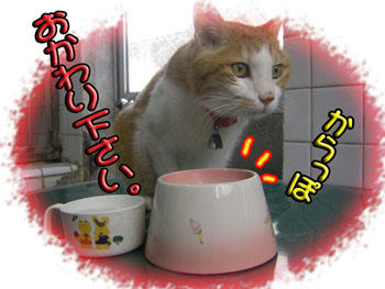 w(￣▽￣;)wﾜｵｯ!!