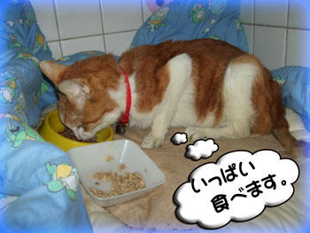 いっぱい食べなさい。(⌒-⌒)ニコニコ...