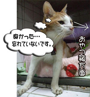 忘れないよ。