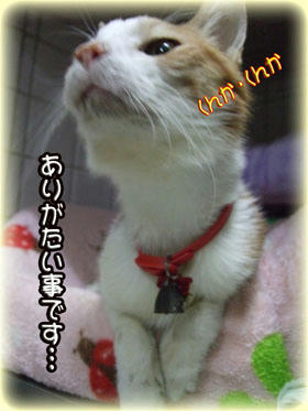 (⌒-⌒)ﾆｺﾆｺ...