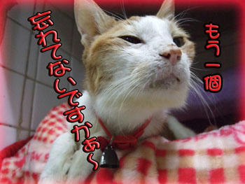 まだおねだり？