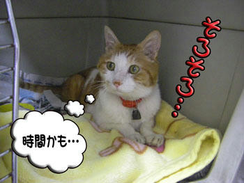 ちょっとドキドキ…