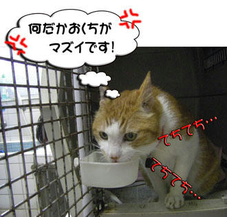 今気付いたの?